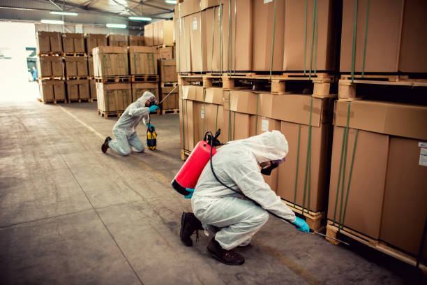 Best Termite Control Services  in Goshen, IN