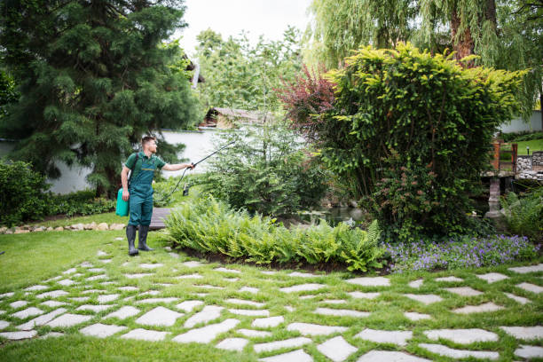 Reliable Goshen, IN Pest Control Solutions