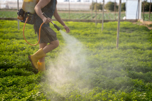 Best Pest Removal Services  in Goshen, IN