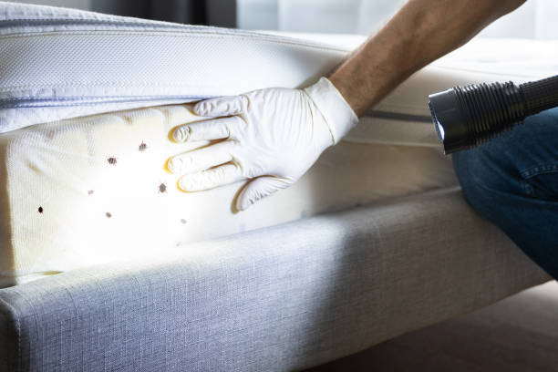 Best Commercial Pest Control Services  in Goshen, IN
