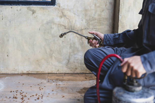 Best Termite Control Services  in Goshen, IN